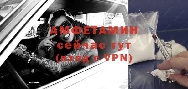 дмт Алзамай