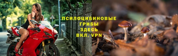 прущие крисы Алексеевка