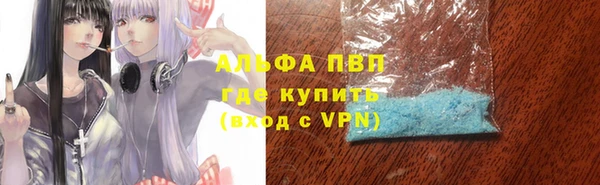 дмт Алзамай