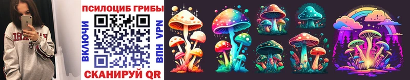 кракен сайт  Алзамай  Галлюциногенные грибы Psilocybe 